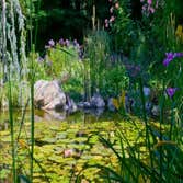 Photo(s) from Frenchs Waterscapes