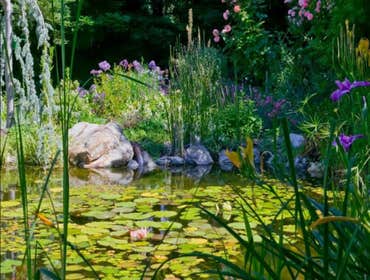 Photo(s) from Frenchs Waterscapes