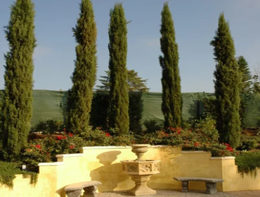 Transformation from a California ranch house to a Tuscan villa