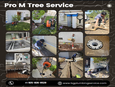Photos by Bg plumbing #15 BG Plumbing