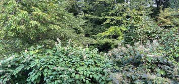 Jbc Construction and Landscaping LLC