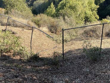 Photos by Encinal Tree Service Inc #16