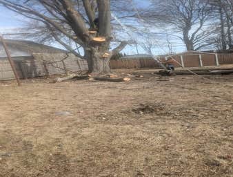 Photos by Willy's Landscaping #8