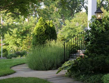 Wrought Iron Railing