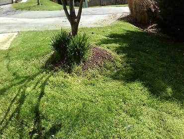 Photos by Cirilo San Juan Landscaping #3