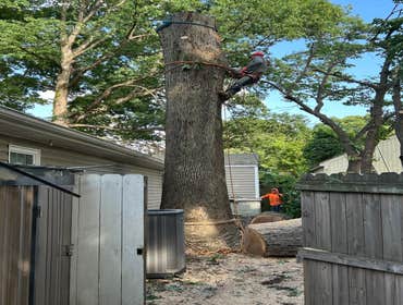 Photos by Beauty Meister Landscaping LLC #2