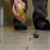 Garden City Termite Experts logo