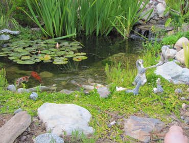 Photo(s) from Pro Pool Management LLC
