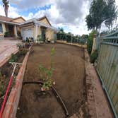 New House Landacape Removal of Palm Tree in the entrence causing damage to the pipes and grass installation. Keeping up with regular maintenance.