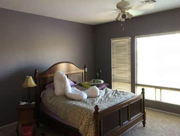 Interior Painting - Bedroom