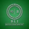 Braulio Landscaping Inc logo