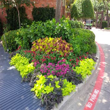Earthworks Commercial Landscaper