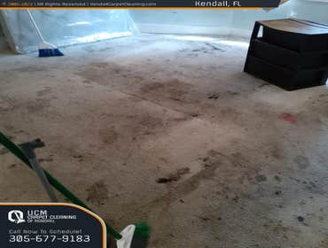 Photos by Ucm Carpet Cleaning of Kendall #1