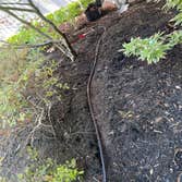 Photos by Matias Landscaping #3