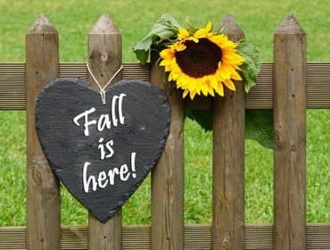 Photos by Classic Fence Inc. #1