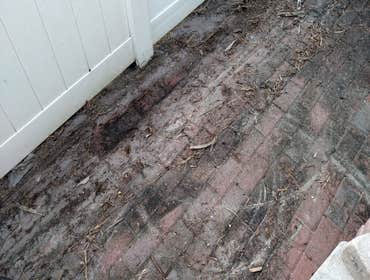 Seal-Away pressure washing sidewalk, driveway, & fence Before and after pictures pressure washing sidewalk, fence, & driveway. Call Seal-Away today to