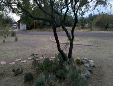 Thompson Pro Landscaping Project Simple clean up in Benson A.Z. It started as a one or two day clean up.From there stucco patch's on the house and demo