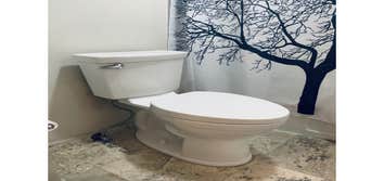 Oasis plumbing