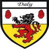 Derrytresk Plastering and Stucco Inc logo