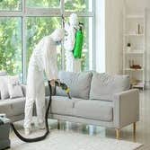 Photos by Enfocus Pest Prevention #1
