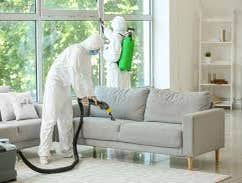 Photos by Enfocus Pest Prevention #1