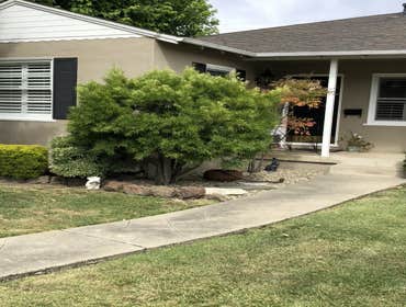 Photos by Encinal Tree Service Inc #6