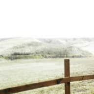 Cedar Privacy Fence