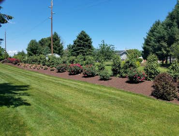 Photos by Professional Approach Landscape Services, Inc #1