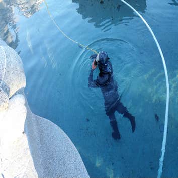 Don't drain, dive to fix it.