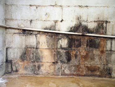 Photos from Access Basement Systems, LLC