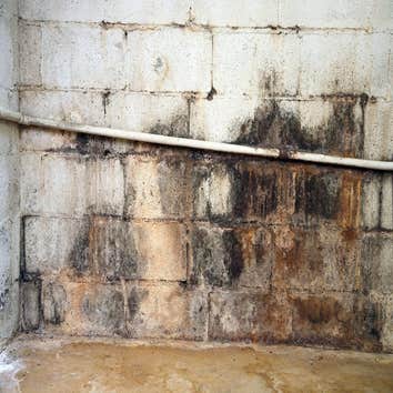 Photos from Access Basement Systems, LLC