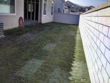 Photos from Five Star Landscaping Company