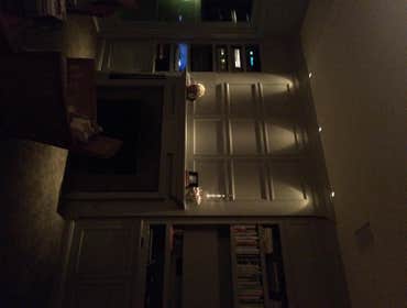 Fireplace and media facade