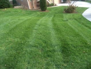 Photos by Don Cele Landscaping #1