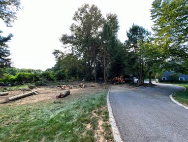 Photos by Diaz Tree Service & Landscaping LLC #14