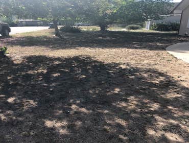 Photos by MERRIFIELD'S CUSTOM BUILDERS & LANDSCAPING #1