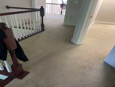 Photos by Gochez Hardfloor and Carpet Install LLC #17