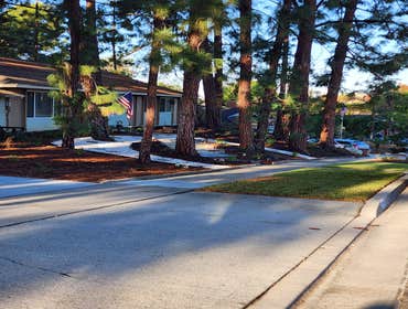 Photos by Mr Ortiz Landscaping Inc #11
