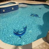 Photo(s) from Coastal Pool & Services