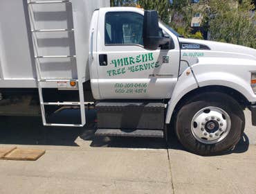 Photos by Moreno Tree Service #1