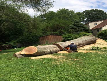 Photo(s) from Bonilla Tree Service Inc