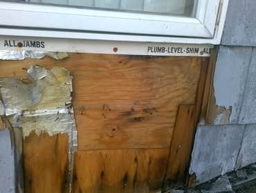Remediation & Mold Mitigation