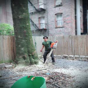 Photos by Selvins Tree Care #1