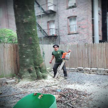 Photos by Selvins Tree Care #1