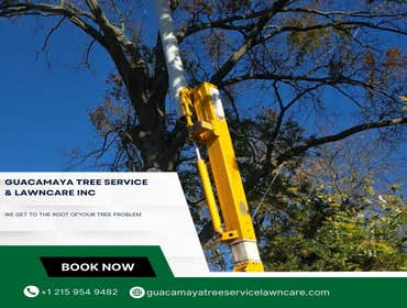 Photos by Guacamaya Tree Service & Lawncare Inc #14