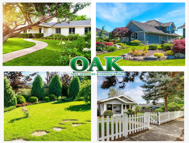 Photos by Oak Tree Services & Landscaping #3