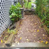Patio (before)