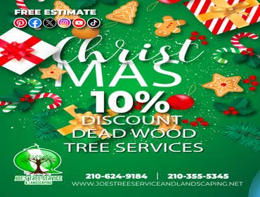 Photos by JOE'S Tree Service and Landscaping #6