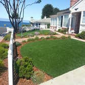 EASYTURF OLIVE LUSH install