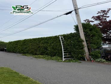 Photos by P&g Landscaping LLC #1